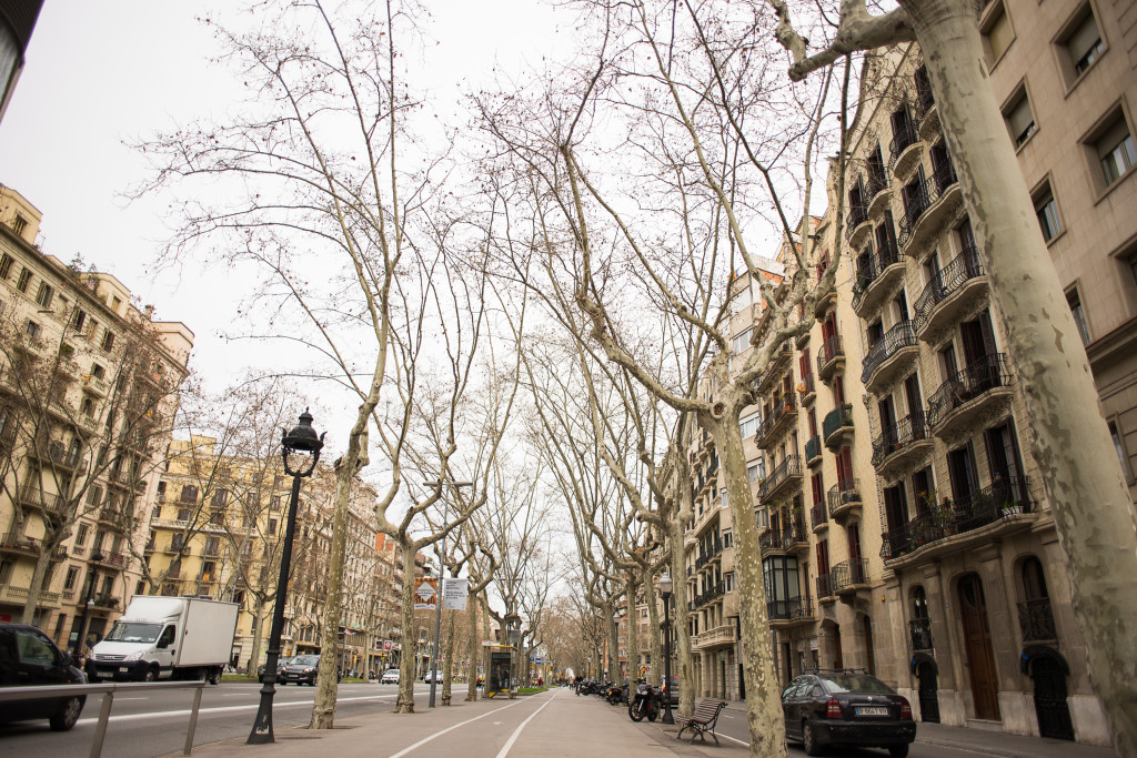 Travel photographer | Joy Hmielewski | Joy Does Stuff | Barcelona