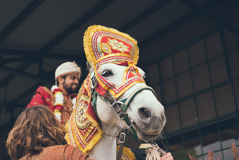 Atlanta Wedding Photographer | Indian Wedding | www.Joyelan.com