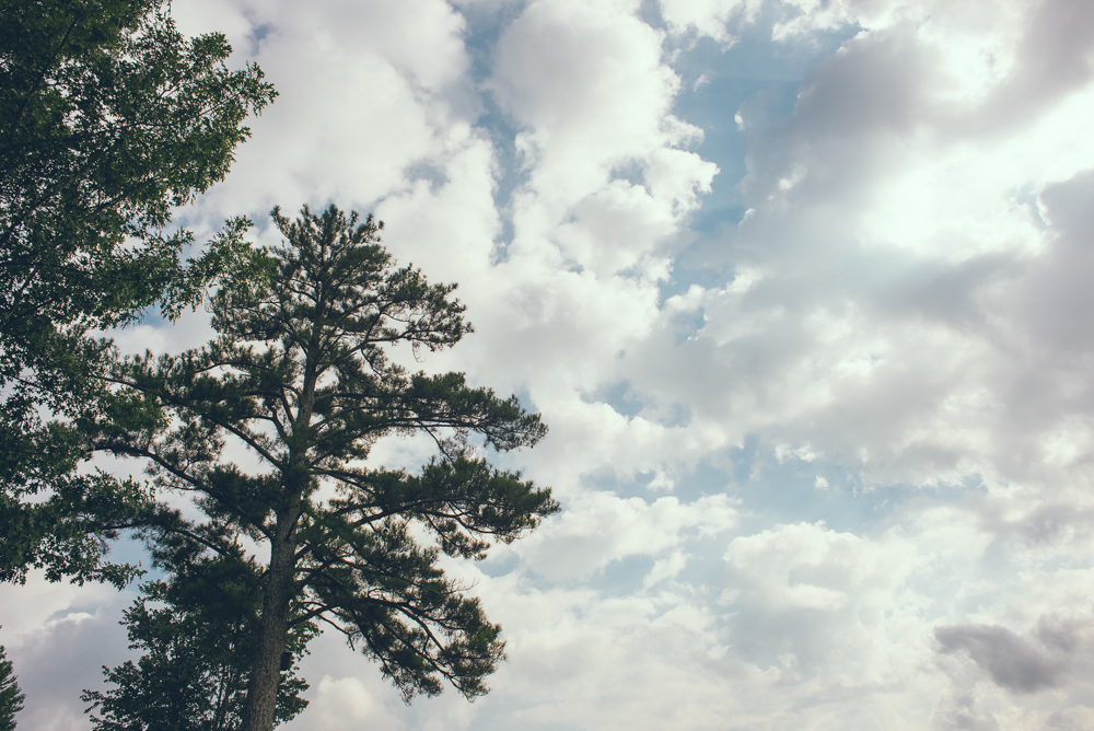 Atlanta elopement photography