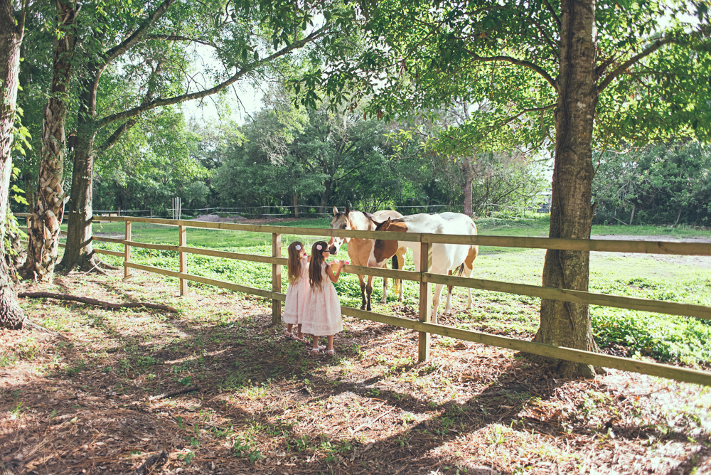 Destination Wedding Photography Birdsong Barn