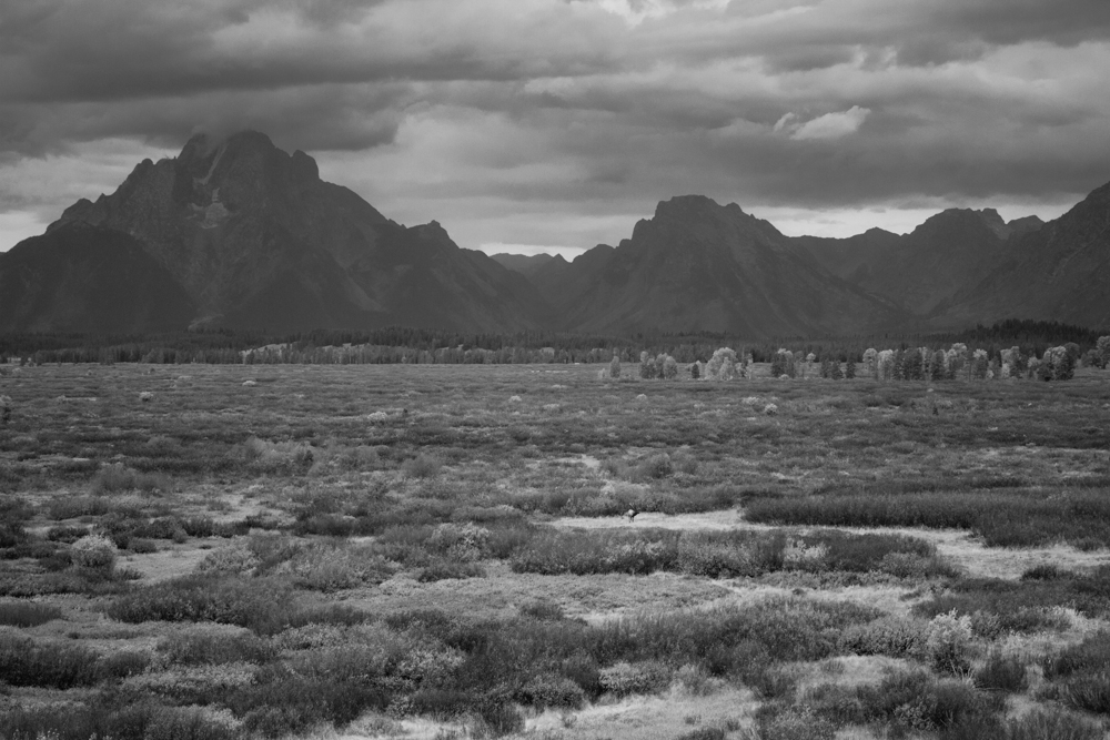 Travel photographer Grand Tetons National Park