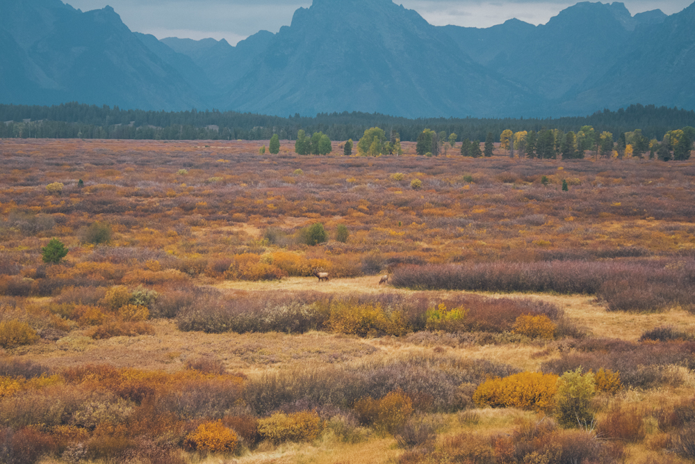 Travel photographer Grand Tetons National Park