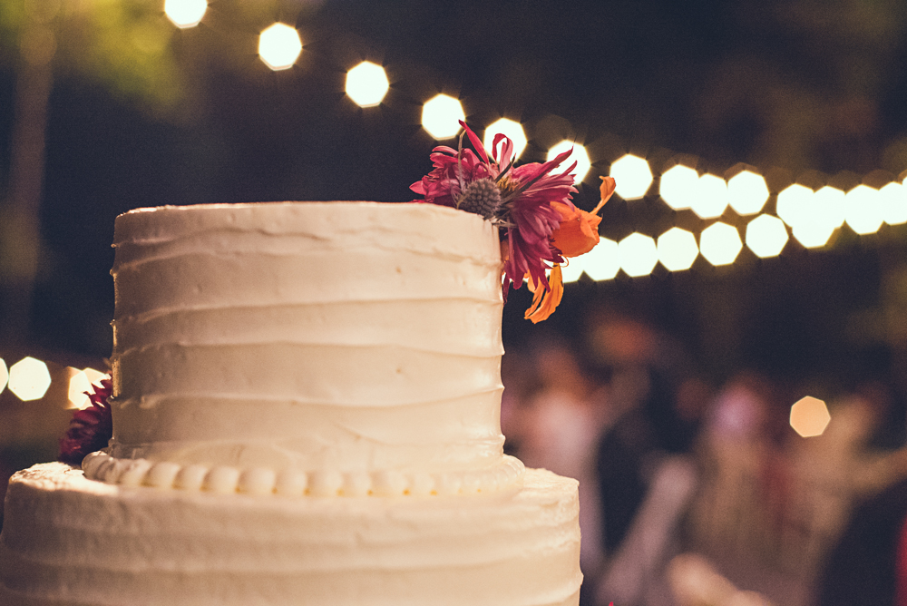 Atlanta Indian Wedding Photographer High Tower Falls