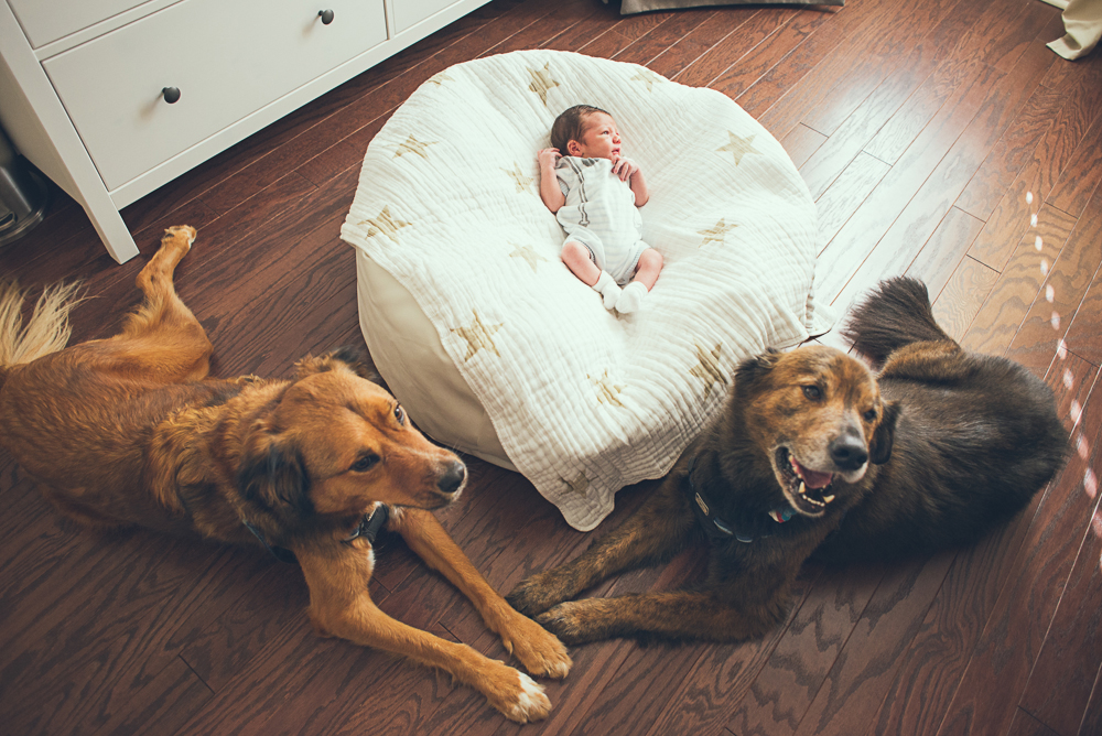 Atlanta Newborn Photographer