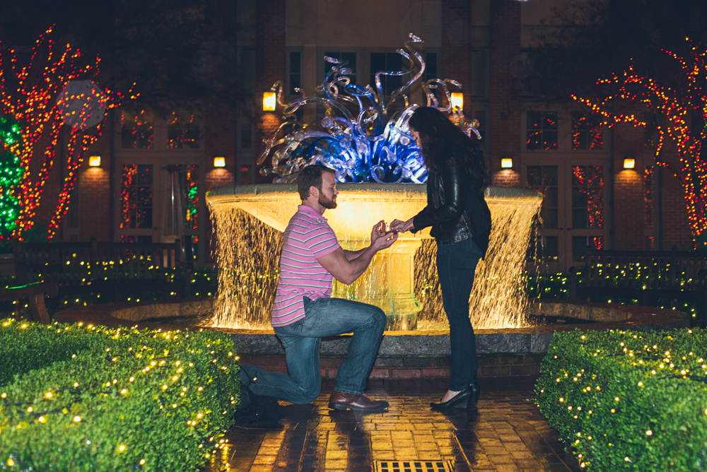 Atlanta Wedding Photographer | www.Joyelan.com | Atlanta Botanical Gardens Proposal