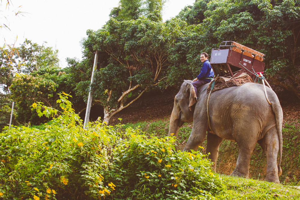 Travel photography Chiang Mai Thiland Elephants and Karen Village