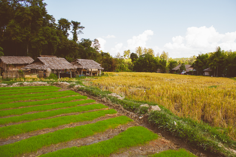 Travel photography Chiang Mai Thiland Elephants and Karen Village