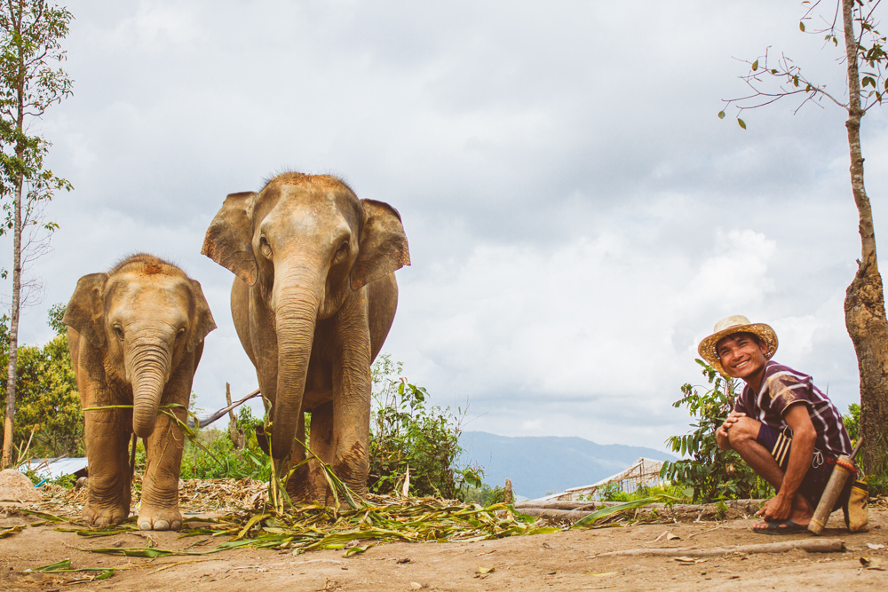 Travel photography Chiang Mai Thiland Elephant Sanctuary