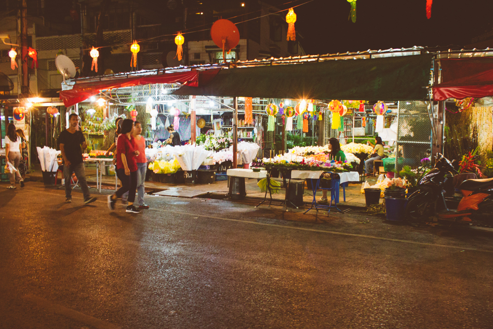 Travel photography Chiang Mai Thiland Elephants and Lantern Festival