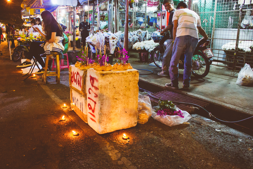 Travel photography Chiang Mai Thiland Elephants and Lantern Festival