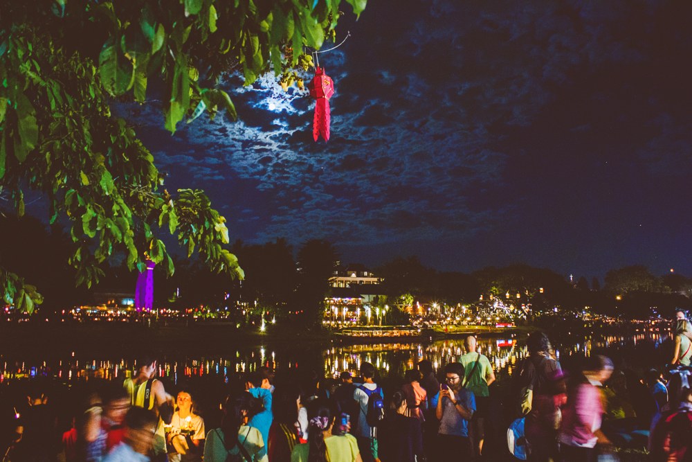 Travel photography Chiang Mai Thiland Elephants and Lantern Festival