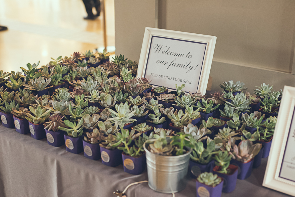 Atlanta Wedding Photographer | www.Joyelan.com | Piedmont Park