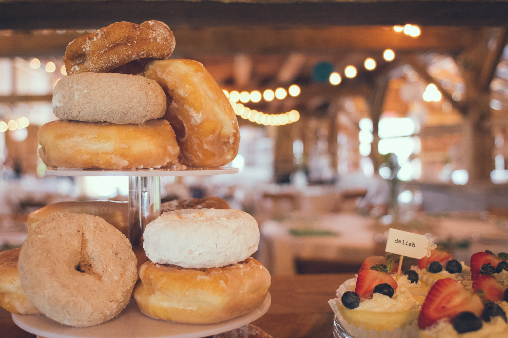 Florida and Destination Wedding Photographer - www.Joyelan.com - Milestone Barn Bannister Romantic Rustic Barn Wedding Michigan Photos