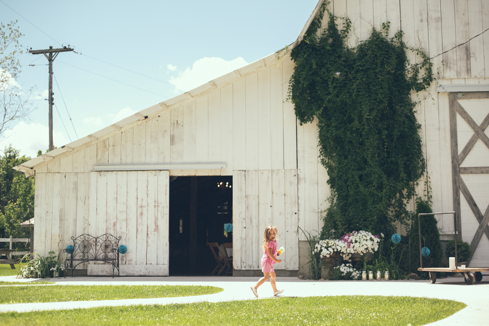 Florida and Destination Wedding Photographer - www.Joyelan.com - Milestone Barn Bannister Romantic Rustic Barn Wedding Michigan Photos