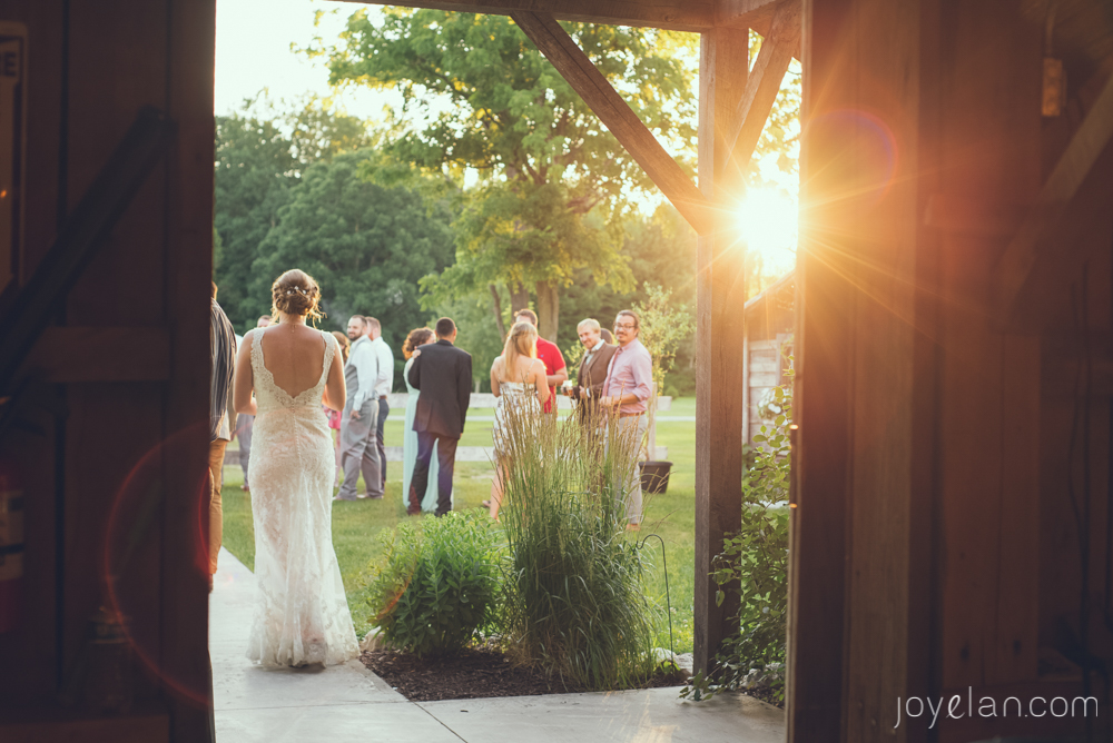 Florida and Destination Wedding Photographer - www.Joyelan.com - Milestone Barn Bannister Romantic Rustic Barn Wedding Michigan Photos