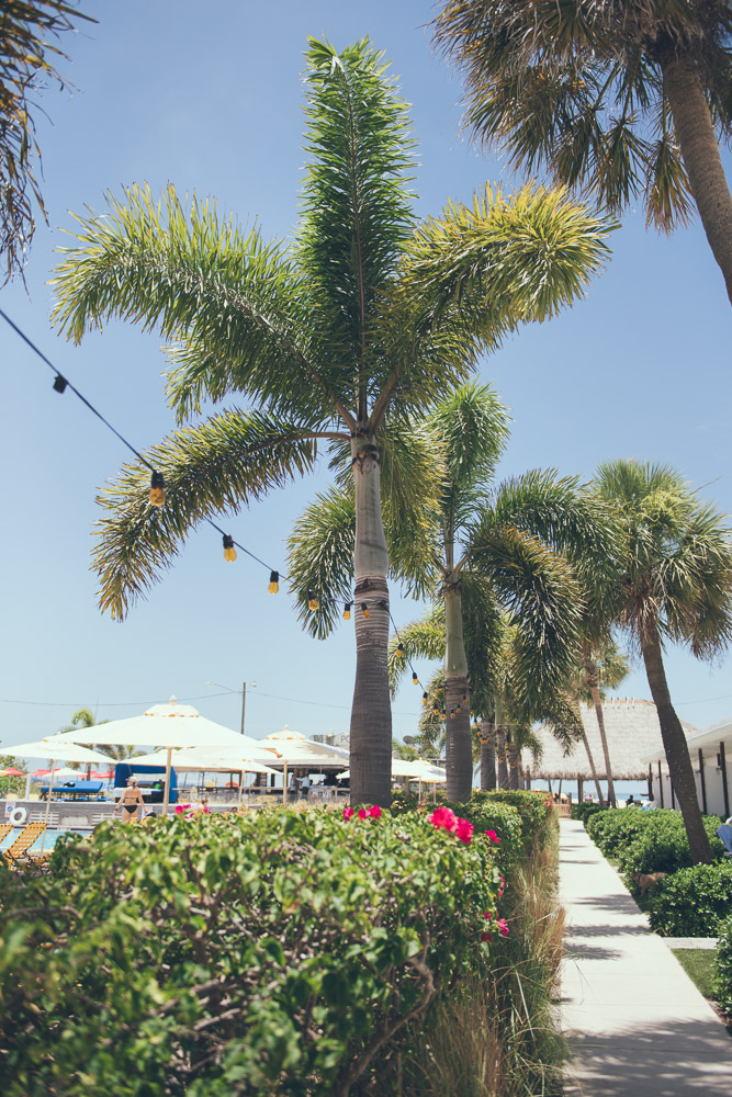 Tampa and Destination Wedding Photographer | Joyelan Photography | The Post Card Inn St. Pete