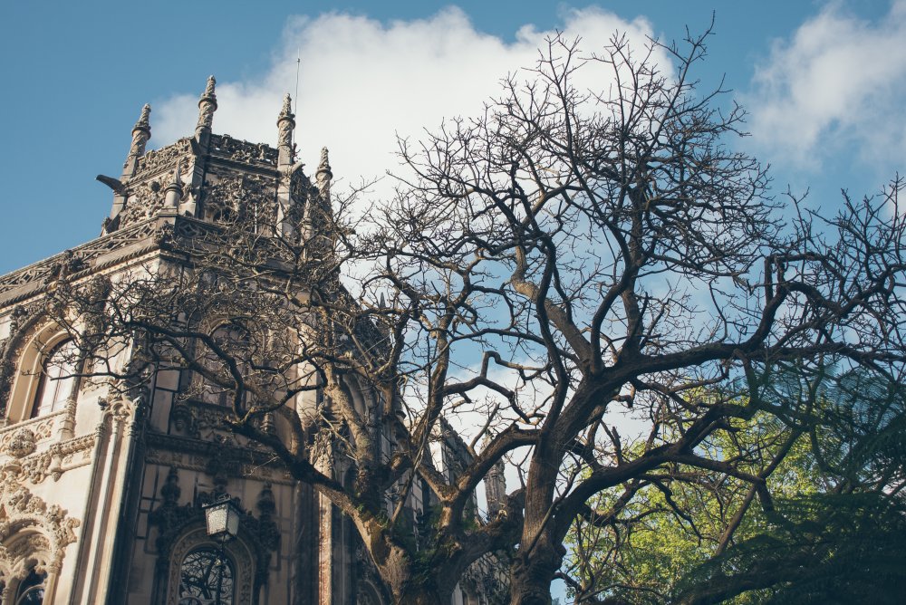 Travel Photographer | Joy Hmielewski