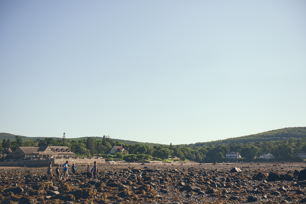 Tampa Wedding Photographer | Maine Wedding Photographer | Destination Wedding Photographer | Travel Photographer | Bar Harbor Arcadia Maine | www.Joyelan.com