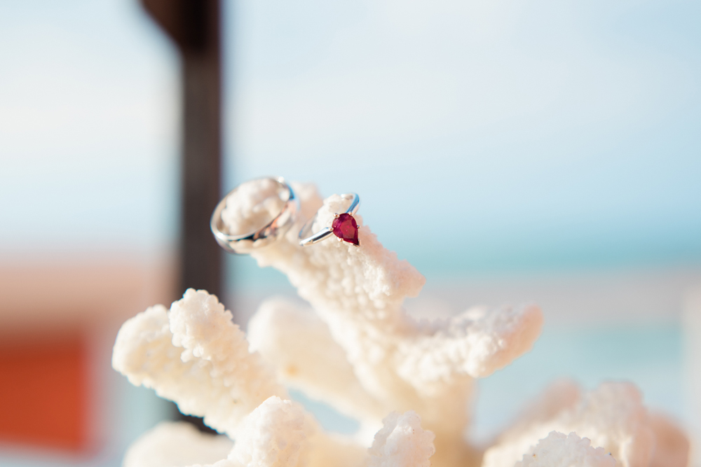 Tampa Wedding Photographer, Tampa Elopement photography, Hyatt Regency Clearwater Beach Wedding