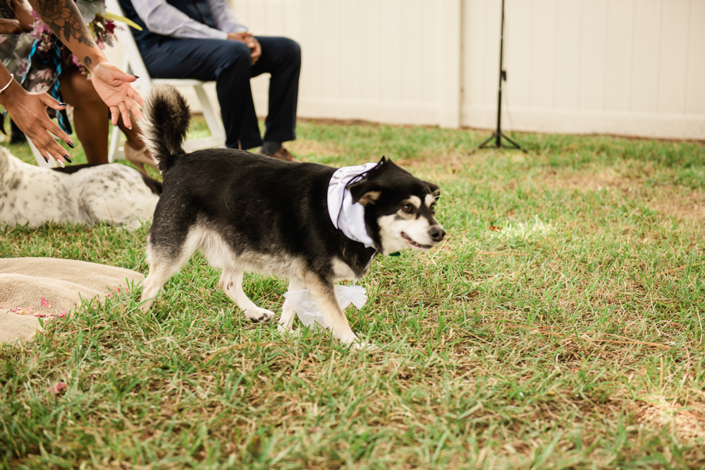 Tampa Wedding Photographer | Clearwater Backyard Wedding | Joyelan Photography