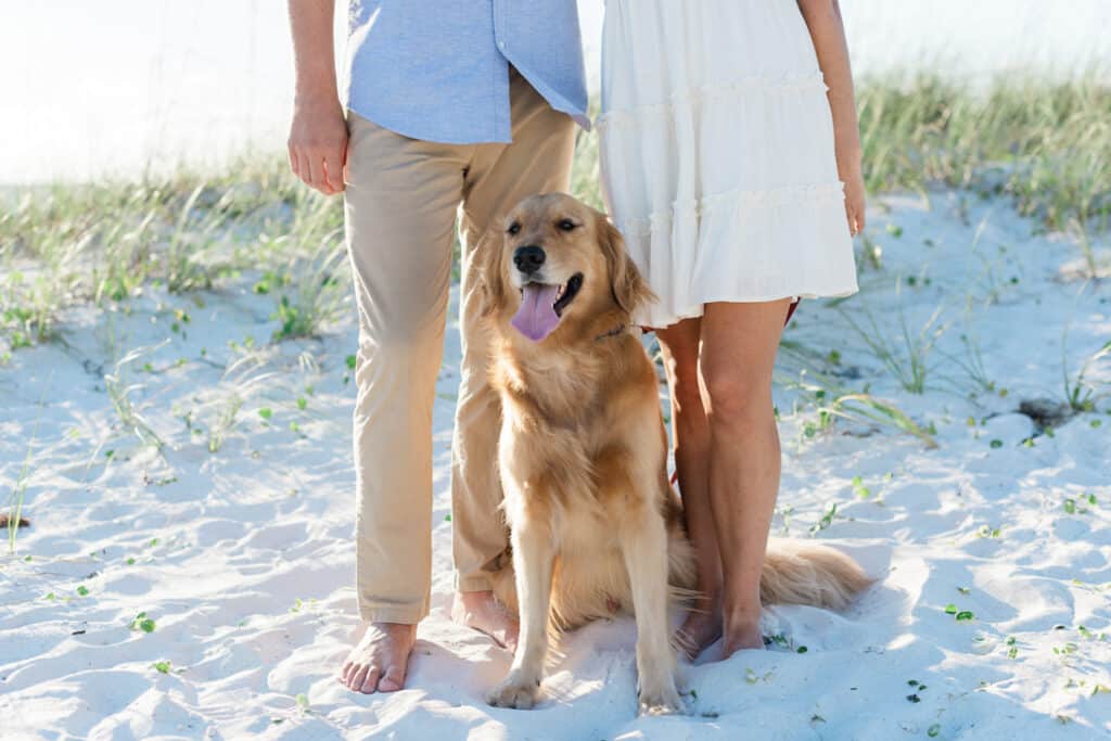 Clearwater Beach - Engagement Session - Diana and John - Joyelan Photography