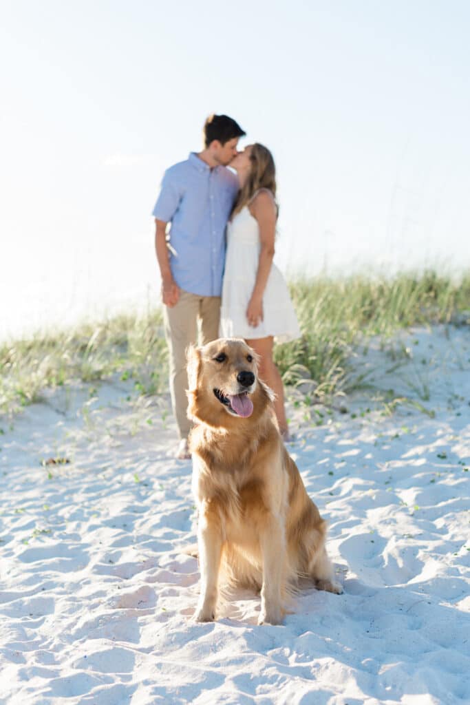 Clearwater Beach - Engagement Session with dog - Diana and John - Joyelan Photography